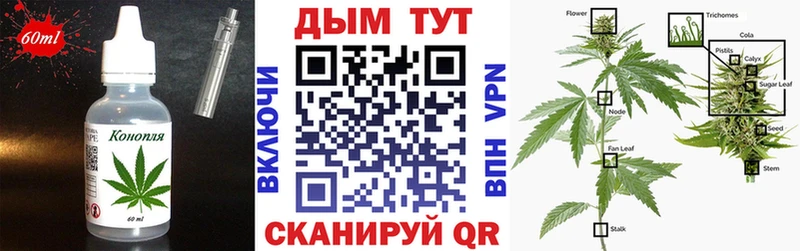 купить наркоту  Мензелинск  Cannafood конопля 