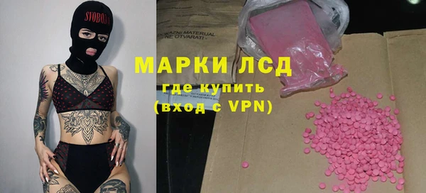 хмурый Арсеньев