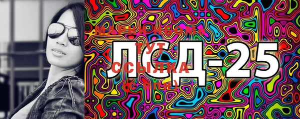 spice Аркадак