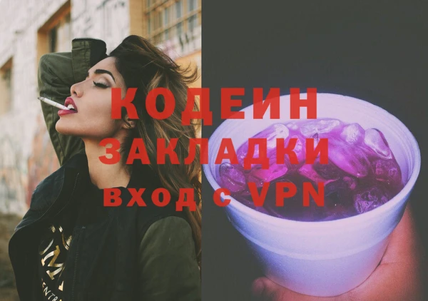 хмурый Арсеньев