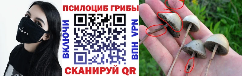 omg ссылка  Мензелинск  Галлюциногенные грибы GOLDEN TEACHER  наркошоп 